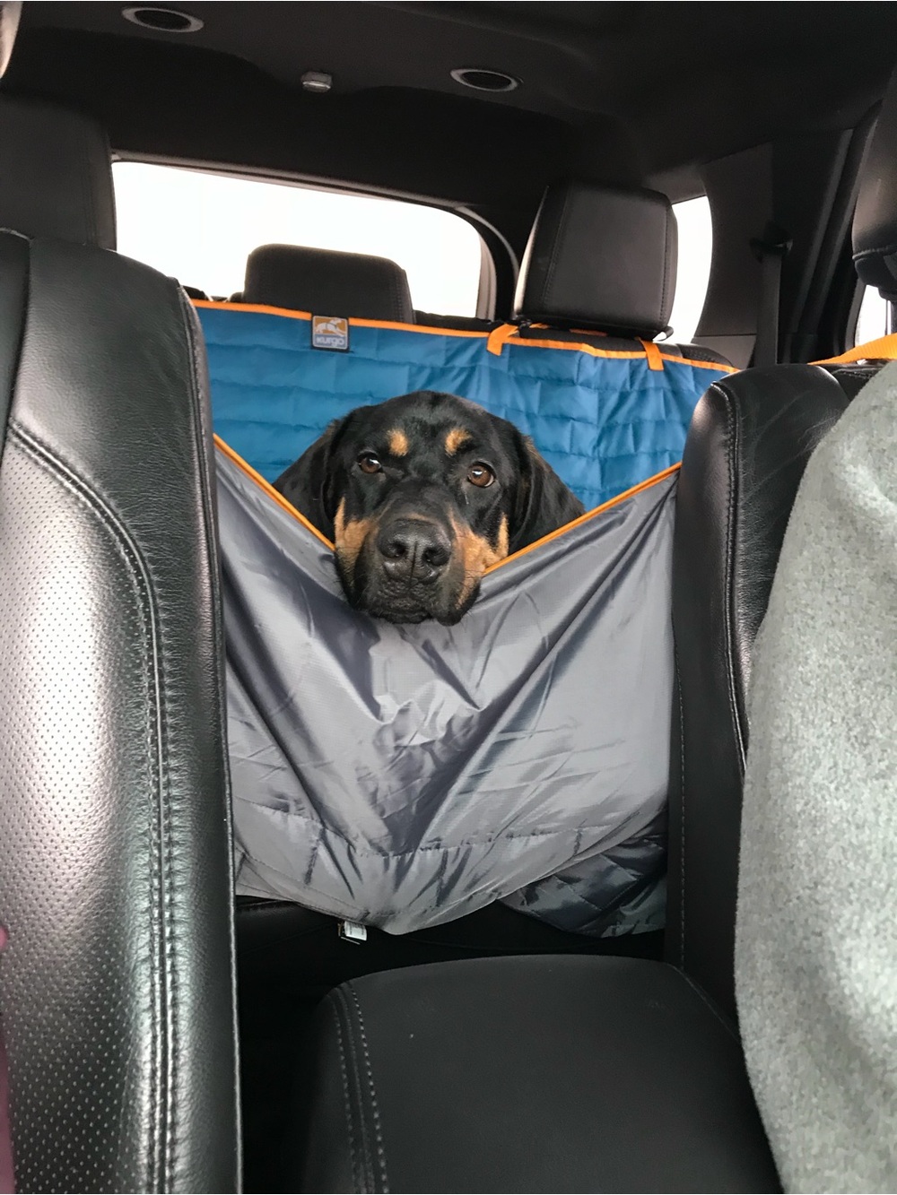 Kurgo Dog Car Seat Cover – SUV Size